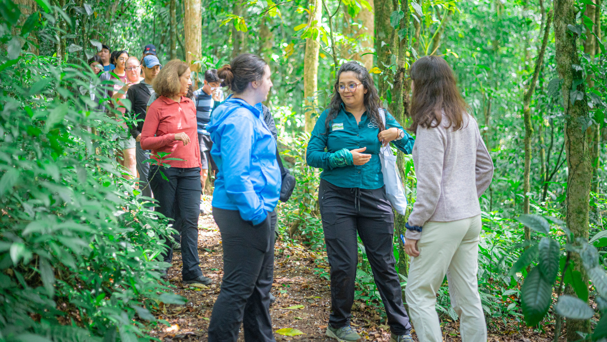 Students walking in forest
