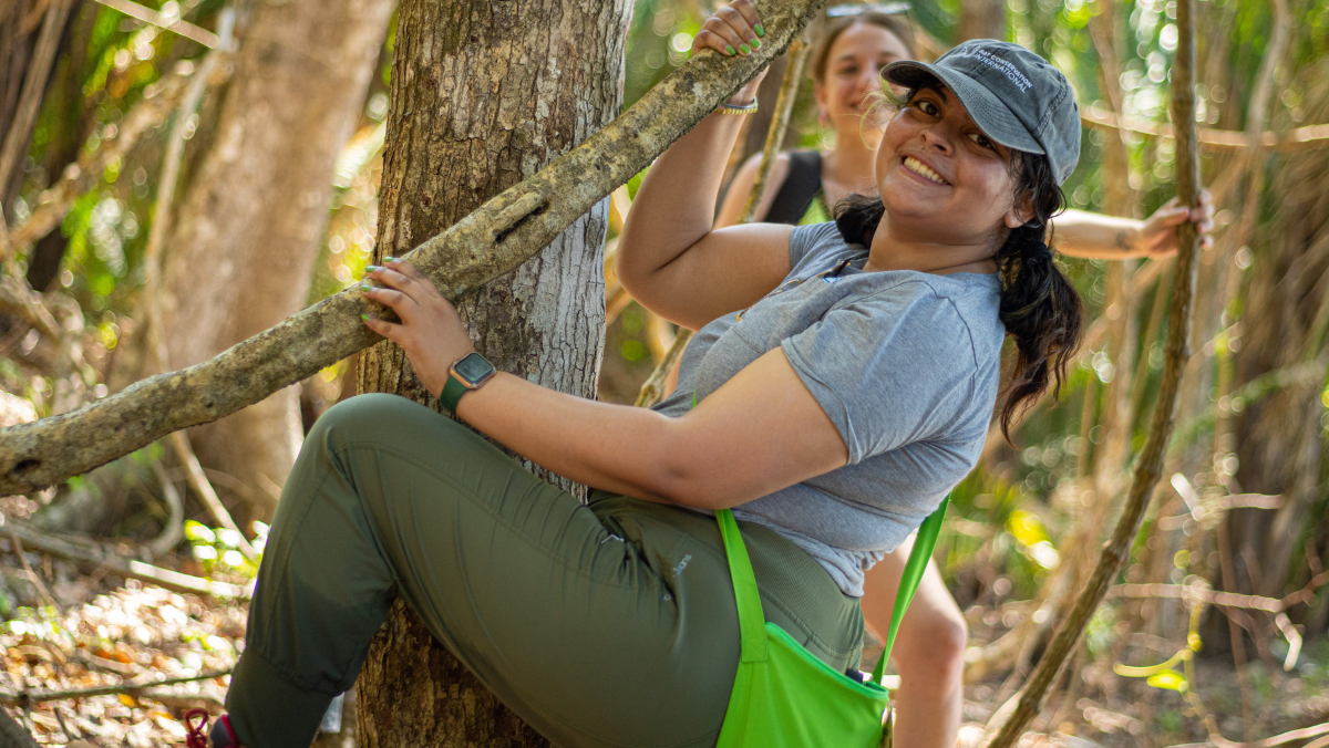 Student climbing a tree