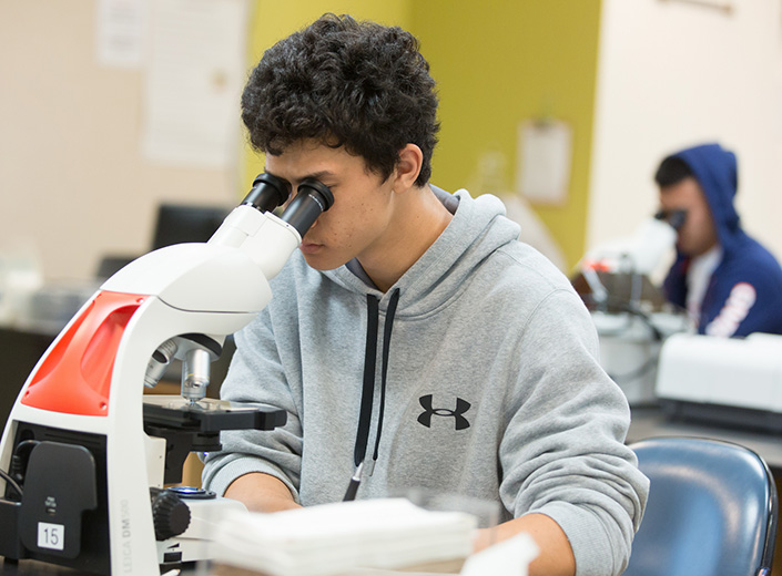 Young man with short curly dark hair and a maroon sweatshirt looks into microscope in a Biology lab.